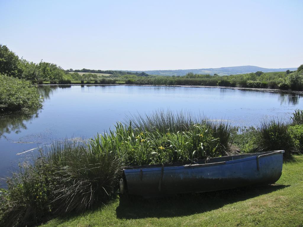 Bed and Breakfast Polhilsa Farm Callington Exterior foto